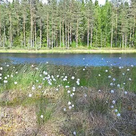 Дом отдыха Pihnari By Interhome *