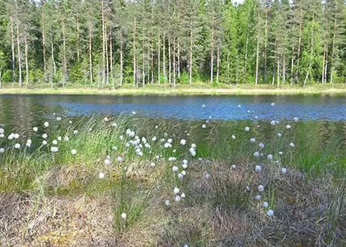 Дом отдыха Pihnari By Interhome *